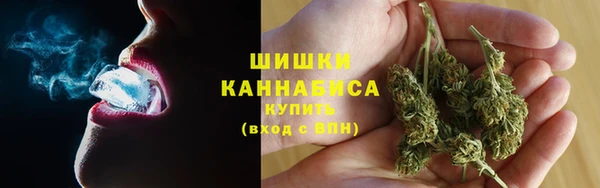 молекула духа Канск