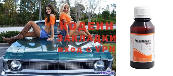 прущие грибы Кедровый