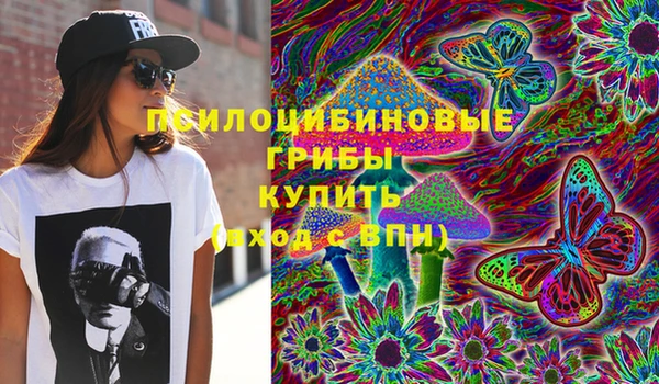mix Туринск