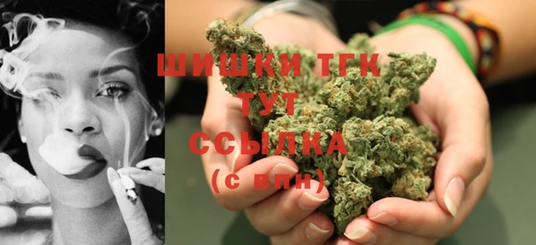 mix Туринск