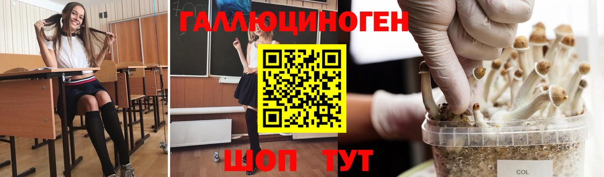 Псилоцибиновые грибы мицелий Выкса
